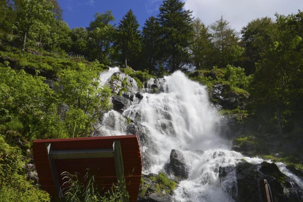 Waldtwin 1 Titisee Exterior photo