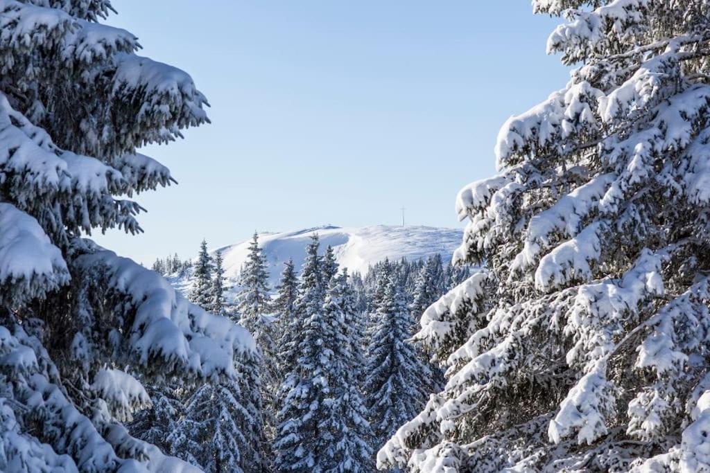 Waldtwin 1 Titisee Exterior photo