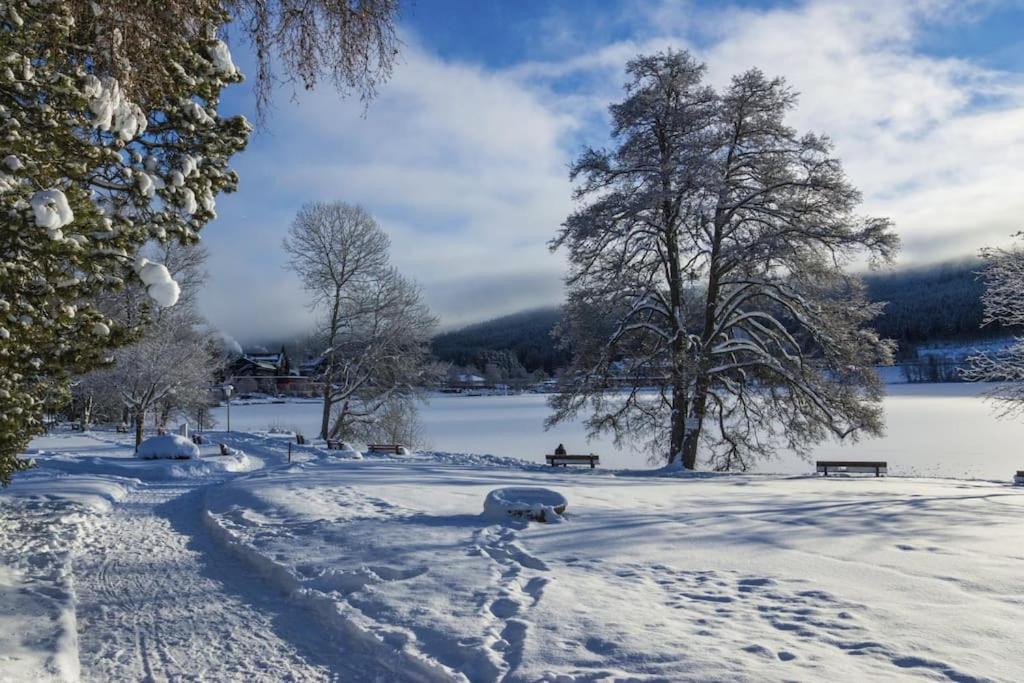 Waldtwin 1 Titisee Exterior photo