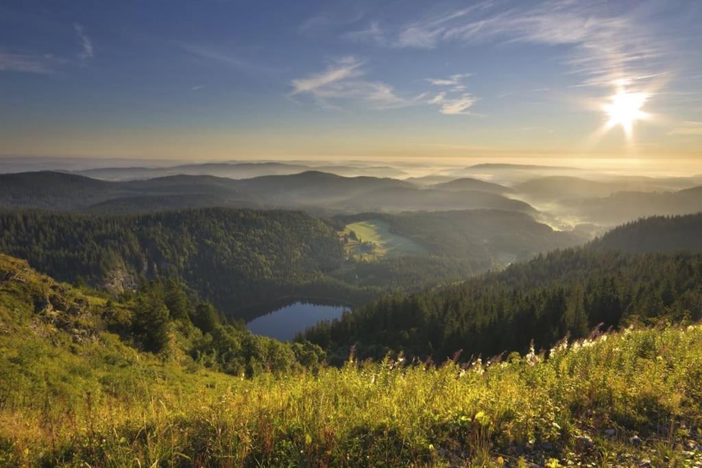 Waldtwin 1 Titisee Exterior photo